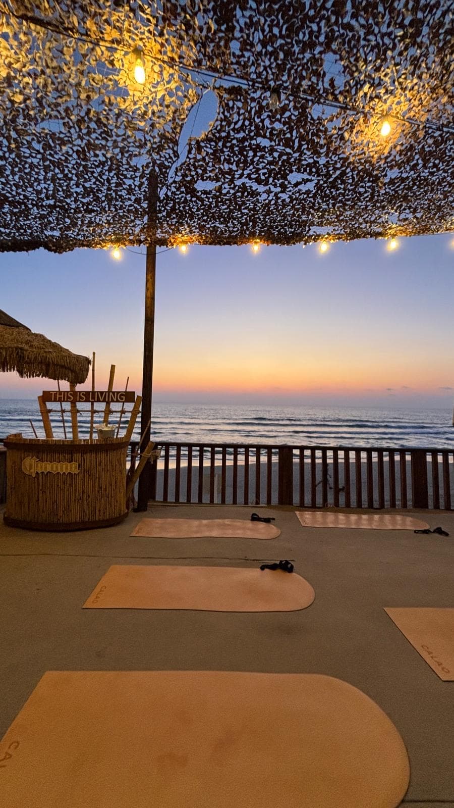 (GazebbOM) Vinyasa yoga עם איילת וויס
